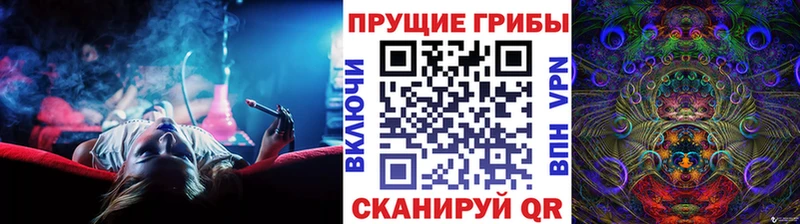 Псилоцибиновые грибы прущие грибы  Купить  Протвино 